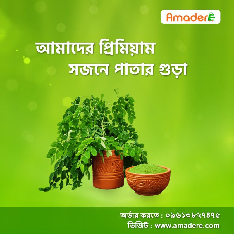 Moringa oleifera health benefit, Nutritional properties of Moringa oleifera, where to buy best quality Moringa oleifera powder