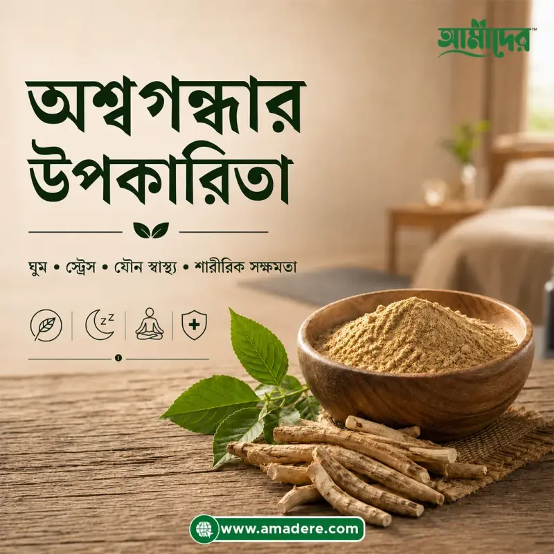 অশ্বগন্ধার উপকারিতা ও খাওয়ার নিয়ম: যৌন স্বাস্থ্য, ঘুম, স্ট্রেস ও শারীরিক শক্তি নিয়ে গবেষণা কী বলে