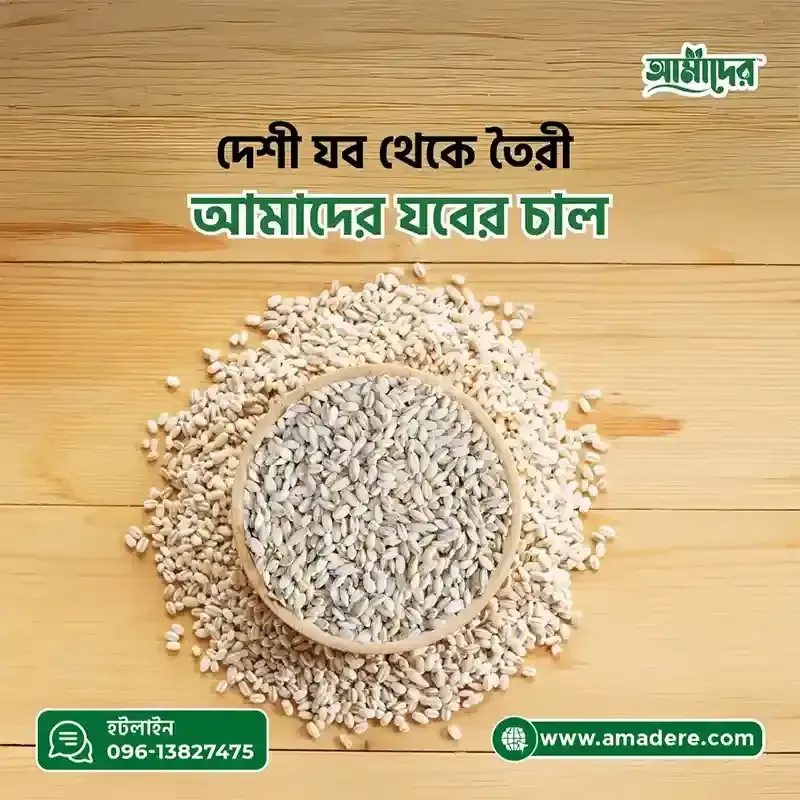 আমাদের যবের চাল ৫ কেজি | Barley Rice in Bangladesh 5 kg