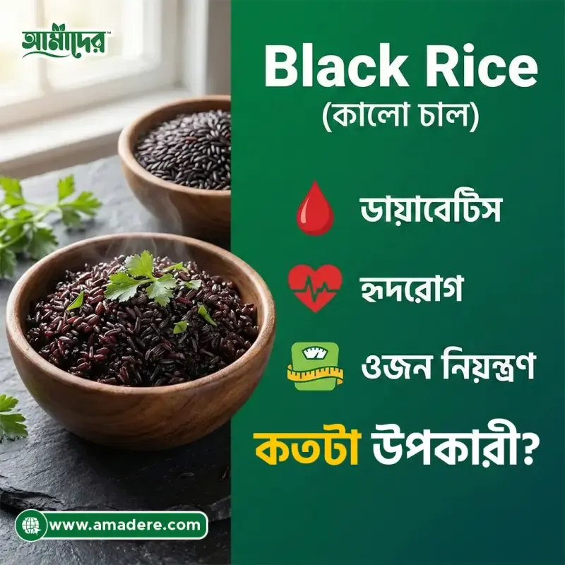 Black Rice (কালো চাল) ডায়াবেটিস, হৃদরোগ ও ওজন নিয়ন্ত্রণে কতটা উপকারী?