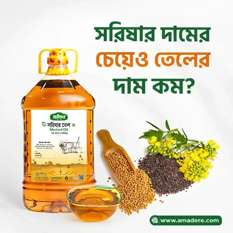 সরিষার দামের চেয়েও তেলের দাম কম? সস্তা সরিষার তেলের ভেতরের সত্যটা জানুন
