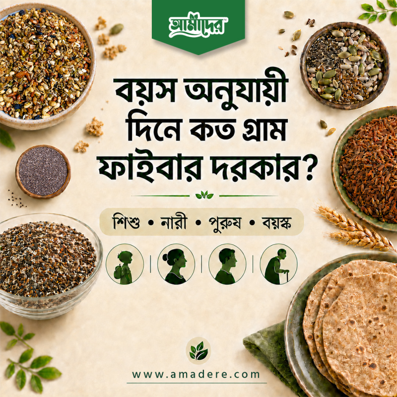 বয়স অনুযায়ী দিনে কত গ্রাম ফাইবার দরকার? – শিশু থেকে বয়স্ক পর্যন্ত সম্পূর্ণ বাংলা গাইড