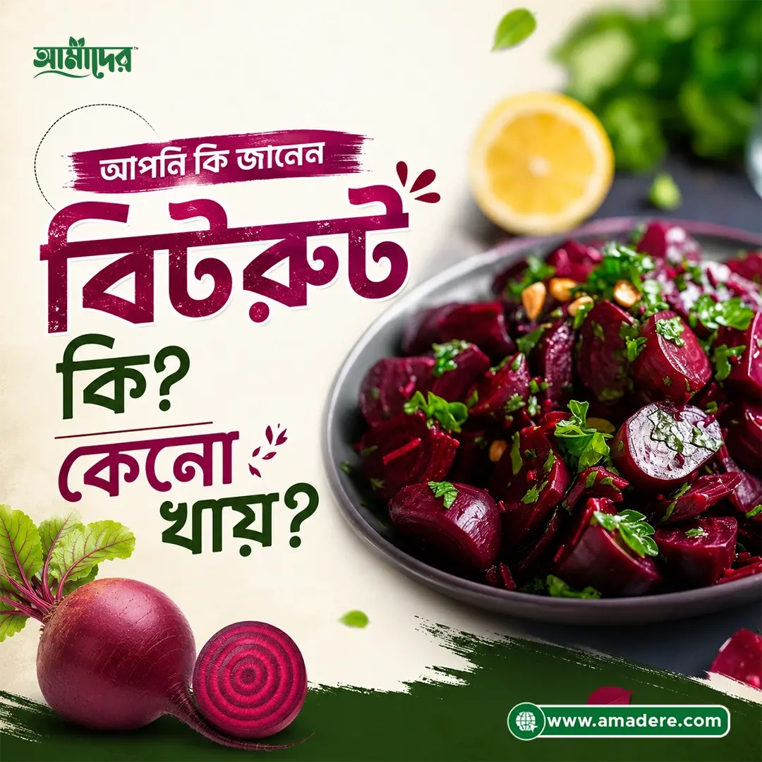 বিটরুট পাউডার কী? উপকারিতা, খাওয়ার নিয়ম, পুষ্টিগুণ ও ব্যবহার