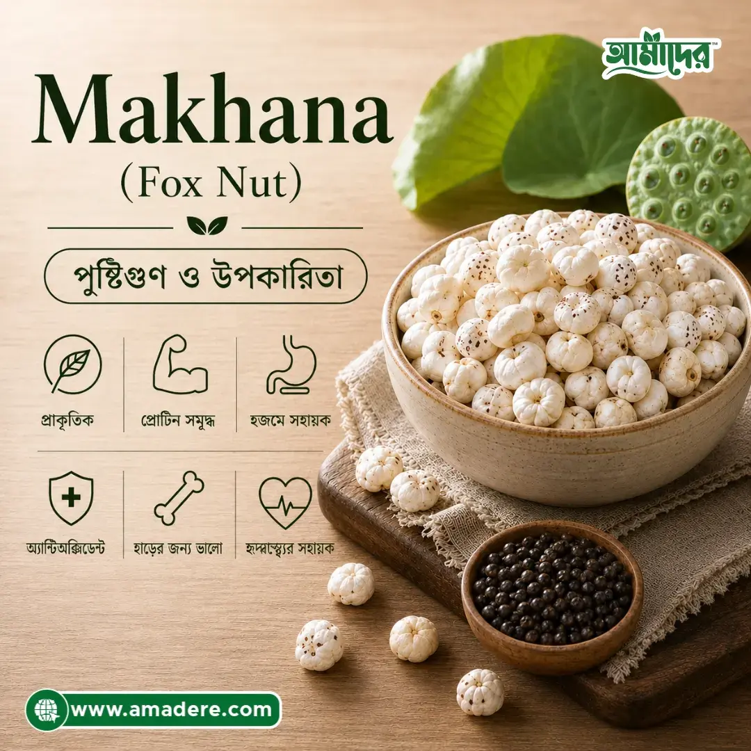 Makhana (Fox Nut) কী? পুষ্টিগুণ, সম্ভাব্য উপকারিতা, খাওয়ার নিয়ম ও সতর্কতা